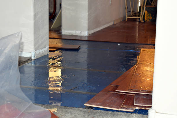Professional Water Damage Restoration technician working in Kensington, NY